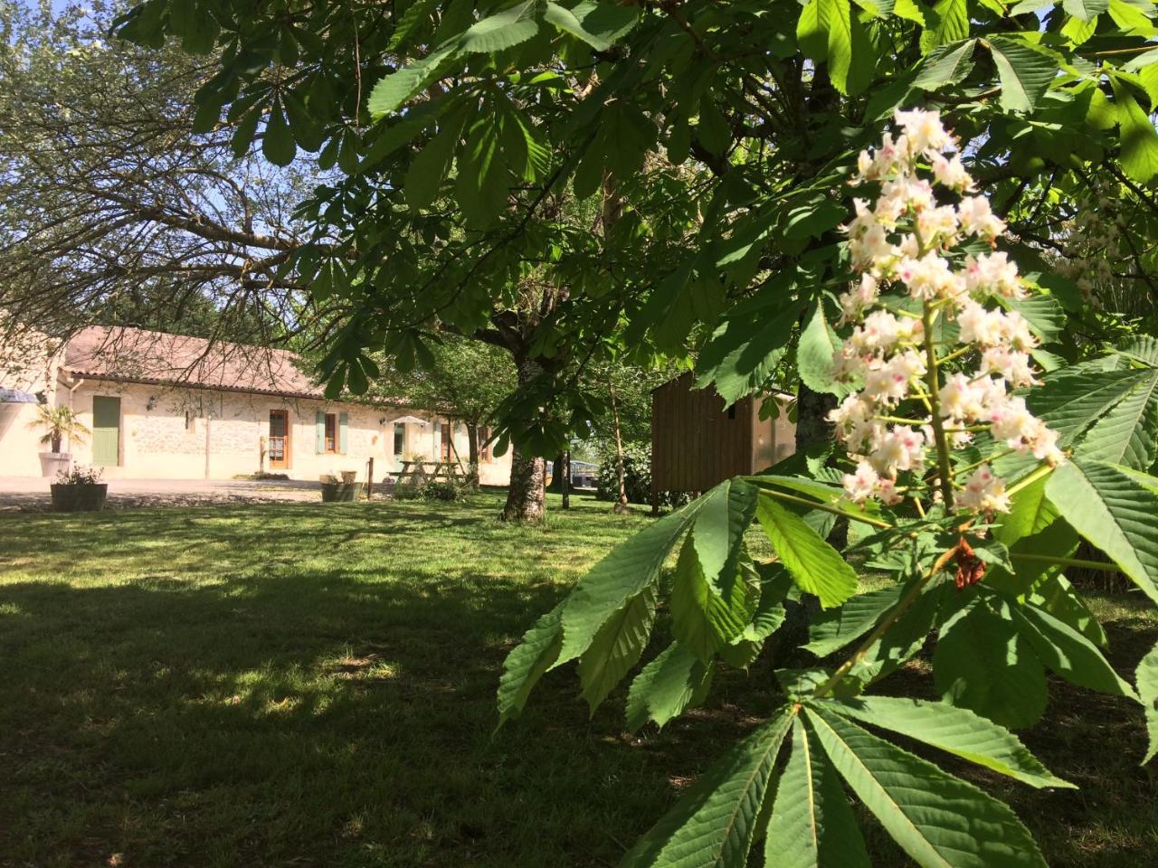 Chateau Haut Baron Ξενοδοχείο Saint-Estèphe Εξωτερικό φωτογραφία